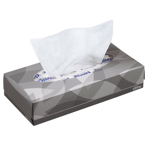 Facial Tissue - Hotel Box - 2 Ply - White - Whisper 100 Sheet